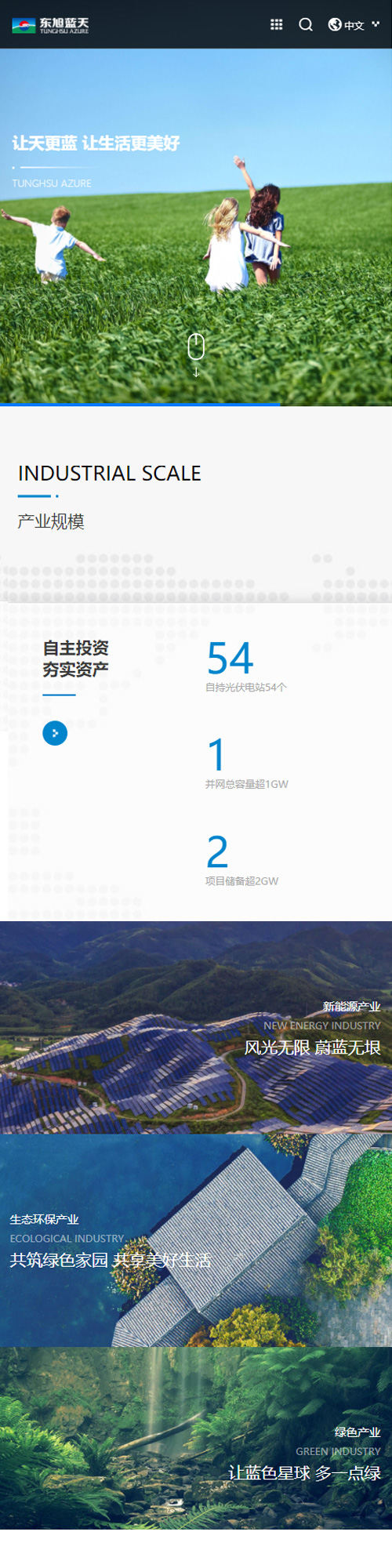 东旭新能源股份 东旭新能源股份